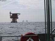 008  Plateformes Mer du Nord